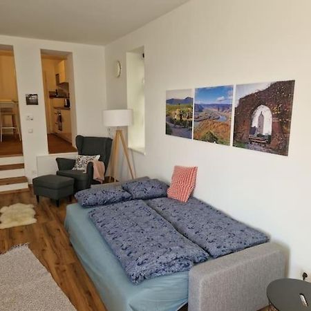 Beethoven29 / Studio Mit Garten Direkt In Krems Екстериор снимка